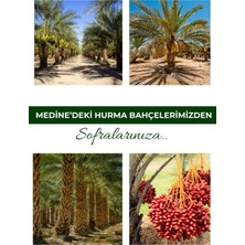 Payitaht Hurma Medine Duşap Hurma Özü Pekmez 315 gr (Şekersiz) 10'lu