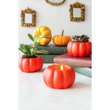 Bc Design Beton 3'lü Turuncu Balkabağı Saksı ve Mumluk