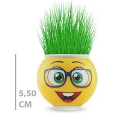 Büro Ev Ofis Dekoru Için Emoji Figürlü Çim Adam Saksı