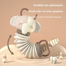 GXG Hayvan Akordeon Yatıştırıcı Müzik Aletleri Oyuncak (Yurt Dışından)