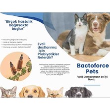 Bactoforcepet