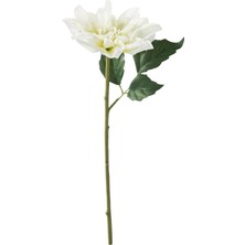 Ikea Smycka Yapay Çiçek Beyaz Yıldız Çiçeği 30 Cm