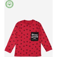 Erkek Çocuk %100 Pamuk Uzun Kollu Tişört - Çocuk Giyim