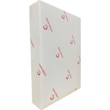 100 Adet Yapışkanlı Etiket Parlak Kuşe A4 Ebat Premium Serisi