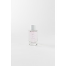 Zara Litteorchid 50 ml