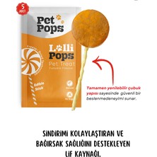 Pet Pops Kedi ve Köpekler İçin Ödül - Lolipop  / Tavukciğer + Balkabağı / 1,5gr *5AD