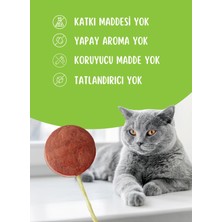 Pet Pops Kedi ve Köpekler İçin Ödül - Lolipop / Tavukciğer + Yabanmersini /  1,5gr * 5AD