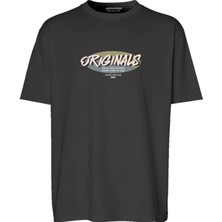 Jack & Jones Jorvarenna Tee Ss Crew Neck Fst