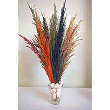 Alyones 15'li Karışık Renk Doğal Pampas Ahşap Bilezikli Renkli Demet Küçük Boy