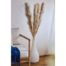 Alyones Xxl Pampas Otu Demeti 5'li Set – Büyük, Doğal Dekoratif Bitki, Şık Ev Düzeni Için Ideal