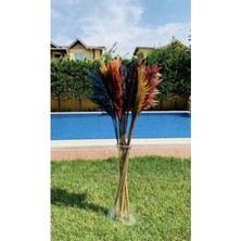 Alyones Karışık Pampas