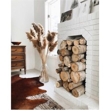 Alyones Doğal Pampas Bitkisi 10 Adt 1 Metre