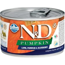 N&d Pumpkin Konserve Kuzu & Yabanmersini Mini