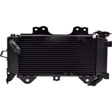 Bajaj Pulsar 200 Ns Radyatör JL601234