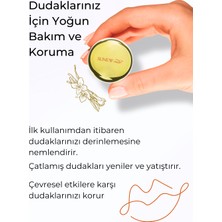 Sunew Med Gold Kıss Vanilya Aromalı Dudak Balmı 13 gr