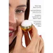 Sunew Med Gold Kıss Vanilya Aromalı Dudak Balmı 13 gr