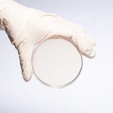 Aklab Group Hazır Chromogenic Mrsa Besiyer - 10 Adet