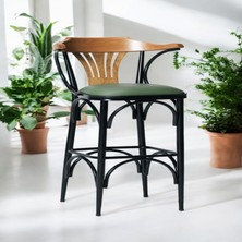 Dengema Bar Sandalyesi Yeşil-Kahve Renkli 169 / 75   cm   - Oturma Yüksekliği 75  cm  - Metal İskelet - Deri Oturum - Ahşap Sırt ve Kolçak