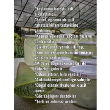 aloe vera jel, doğal alovera jel, 210 ml cam kavanozda, aloe vera fidan hediyeli