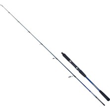 Ryuji Strobe Iı 168 cm 60-130G Aksiyonlu Tekne Kamışı