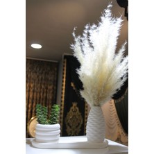 Modern Beyaz Beton Pampas Vazosu Seti