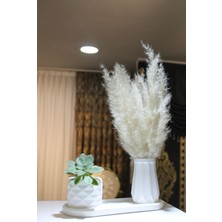 Modern Beyaz Beton Pampas Vazosu Seti