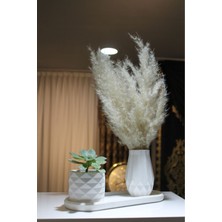 Modern Beyaz Beton Pampas Vazosu Seti
