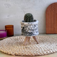 Serengeti Home Dekoratif Beton Saksı, Kaktüs ve Sukulent Saksısı Özel Tasarım Dekor