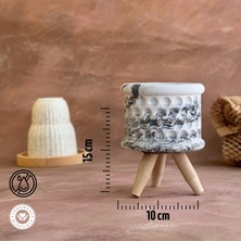 Serengeti Home Dekoratif Beton Saksı, Kaktüs ve Sukulent Saksısı Özel Tasarım Dekor