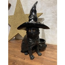 Sihirbaz Kedi , Blackcat