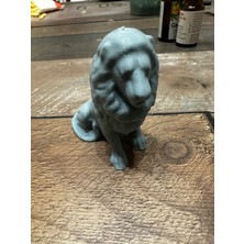 BYR3D Aslan P409778