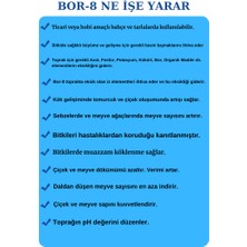 Zeytin İçin Gübre Bor-8 Kalite ve Verim Artar