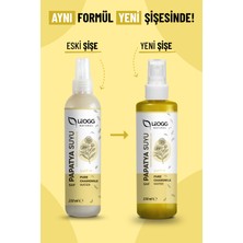 Leogg Natural Papatya Suyu 250 Ml  Saf Ve Doğal Rahatlatıcı Ve Nemlendirici Saç Açıcı Tonik