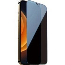 Pronorth IPhone 12 / 12 PRO Uyumlu Tam Kaplayan Hayalet Cam Ekran Koruyucu