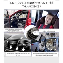 R-Fluence Arka Kapı Fitili 2010-2016
