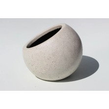 Beton Sakur Saksı