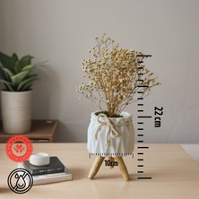 Serengeti Home Dekoratif Çiçek, Masif Ahşap Ayaklı Beton Saksıda Kurutulmuş Çiçek Ev & Ofis Dekorasyonu Hediyelik Çiçek