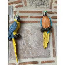 Papagan Ikili Ayrık Macaw