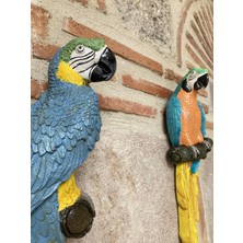 Papagan Ikili Ayrık Macaw