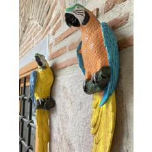 Papagan Ikili Ayrık Macaw