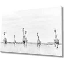 Marsilyan- Zürafalar Cam Tablo