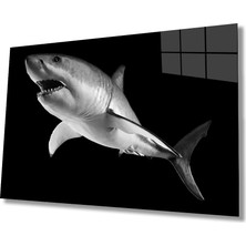 Marsilyan- Köpek Balığı Hayvan  Cam Tablo