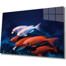 Marsilyan- Kırmızı Beyaz Balıklar Cam Tablo Red White Fishes