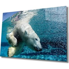 Marsilyan- Beyaz Ayı Cam Tablo White Bear In Sea