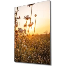 Marsilyan- Manzara Cam Tablo   View