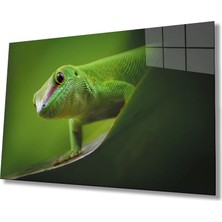 Marsilyan- Hayvan Yeşil Cam Tablo   Green Animal