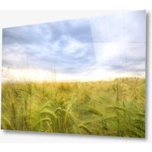 Marsilyan- Doğa Cam Tablo