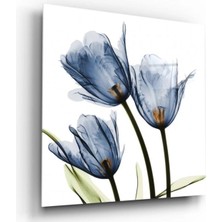 Marsilyan- Lale Cam Tablo