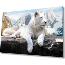 Marsilyan- Aslan Cam Tablo