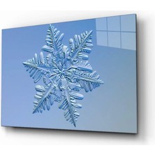 Marsilyan- Kar Tanesi Cam Tablo